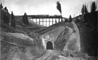 Riflesight Notch Tunnel