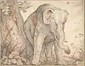 Elephant, der sich an einem Baum reibt, ca. 1608–1612, schwarze Kreide, Rötel und Estompe auf Papier, Albertina, Wien