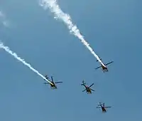 Sarang (Kunstflugstaffel)