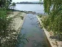Mündung der Selz in den Rhein…