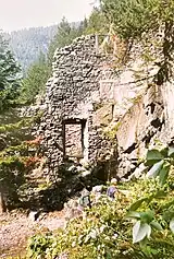 Südwand, Aussenseite, September 1995