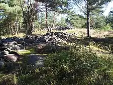 Rund- und Langröse