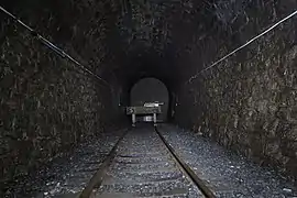 Südlicher Teil des alten Tunnels (2016)