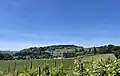 Blick zum Taggenberg von Osten