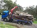 Verladen von Stämmen