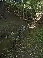 Typisch für den Oberlauf: Tappert bei Bauerngrün