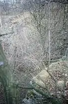 Teuschlbruch