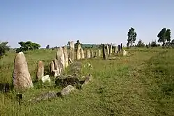 Tiya