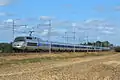 TGV Atlantique bei Dangé-Saint-Romain