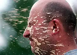 Pfefferspray