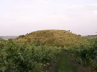 Velká Slunečná