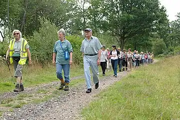 Eine Gruppe Leute läuft in der Natur