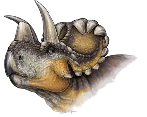 Rekonstruktion des Wendiceratops von Danielle Dufault (2015)
