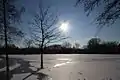 Blick von der 2. Beobach­tungs­kanzel auf die winterliche Bislicher Insel
