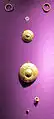 Gold treasure from Șmig, Romania, 17th-16th c. BC.