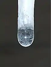 Lattice work or calcite rafts on a calthemite (soda) straw stalactite drop