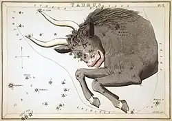 Plate 17: Taurus
